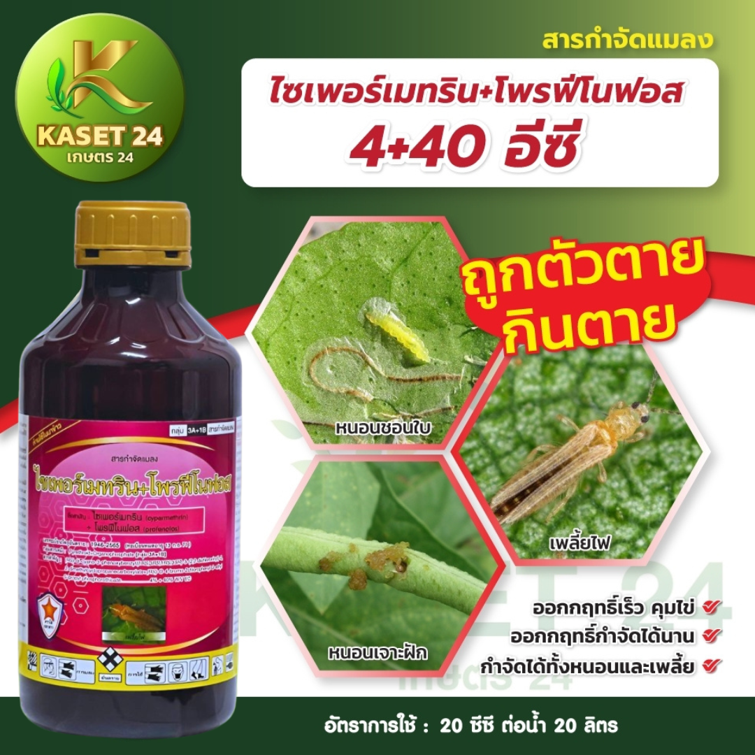 ไซเพอร์เมทริน+โพรฟีโนฟอส 4+40 อีซี ยากำจัดแมลง สูตรเย็น กำจัดเพลี้ยไฟ เพลี้ยไก่แจ้ หนอนเจาะดอก หนอนเจาะลูก หนอนทุกชนิด