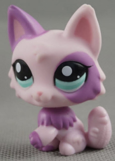 แมว Wolf Persian สีชมพูทูโทน #2100