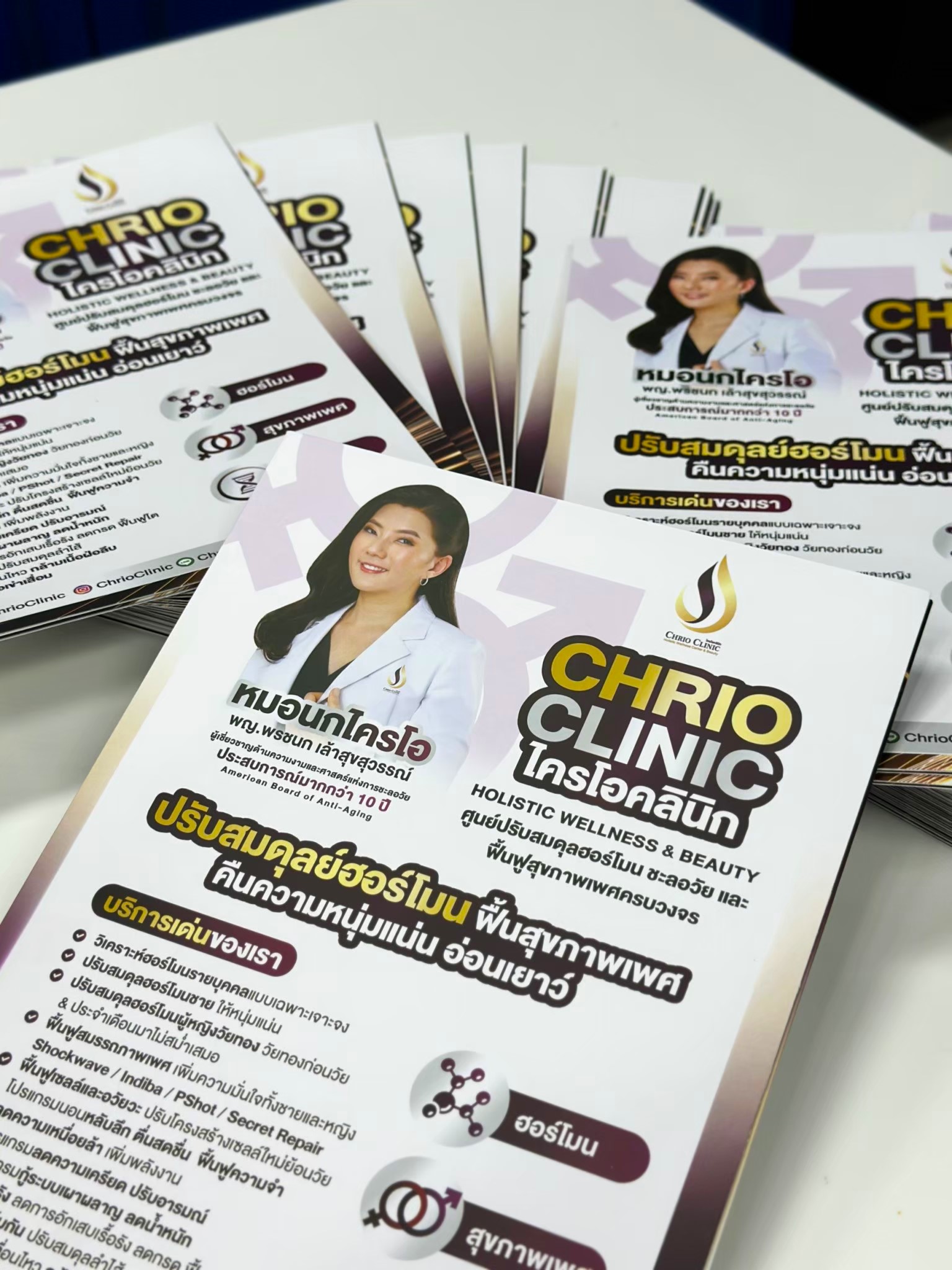 ผลงาน แฟ้มใส่เอกสาร