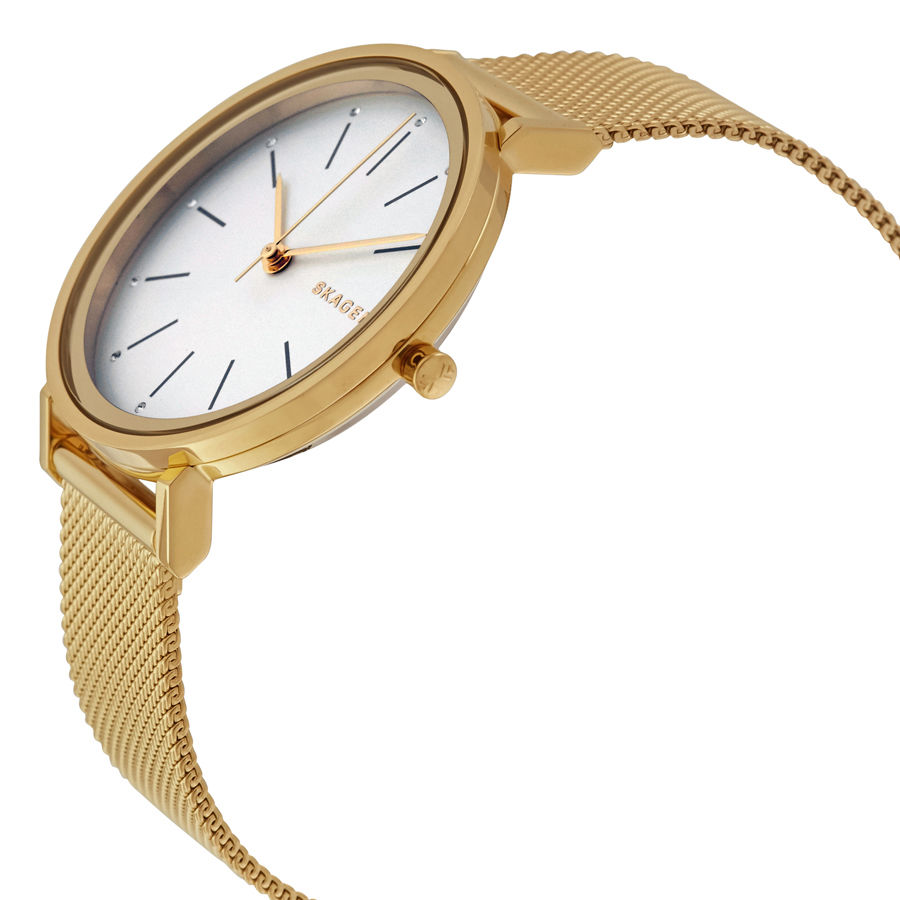 Skagen SKW2509 นาฬิกาผู้หญิง Skagen รุ่น SKW2509, Hald Women's Watch