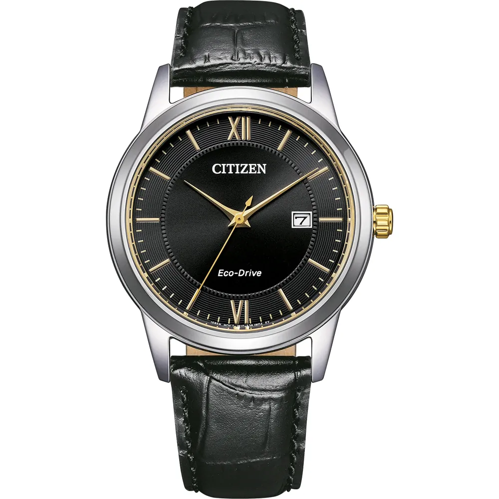 Citizen AW1784-16E นาฬิกาผู้ชาย Eco-Drive Core Collection Men's Watch