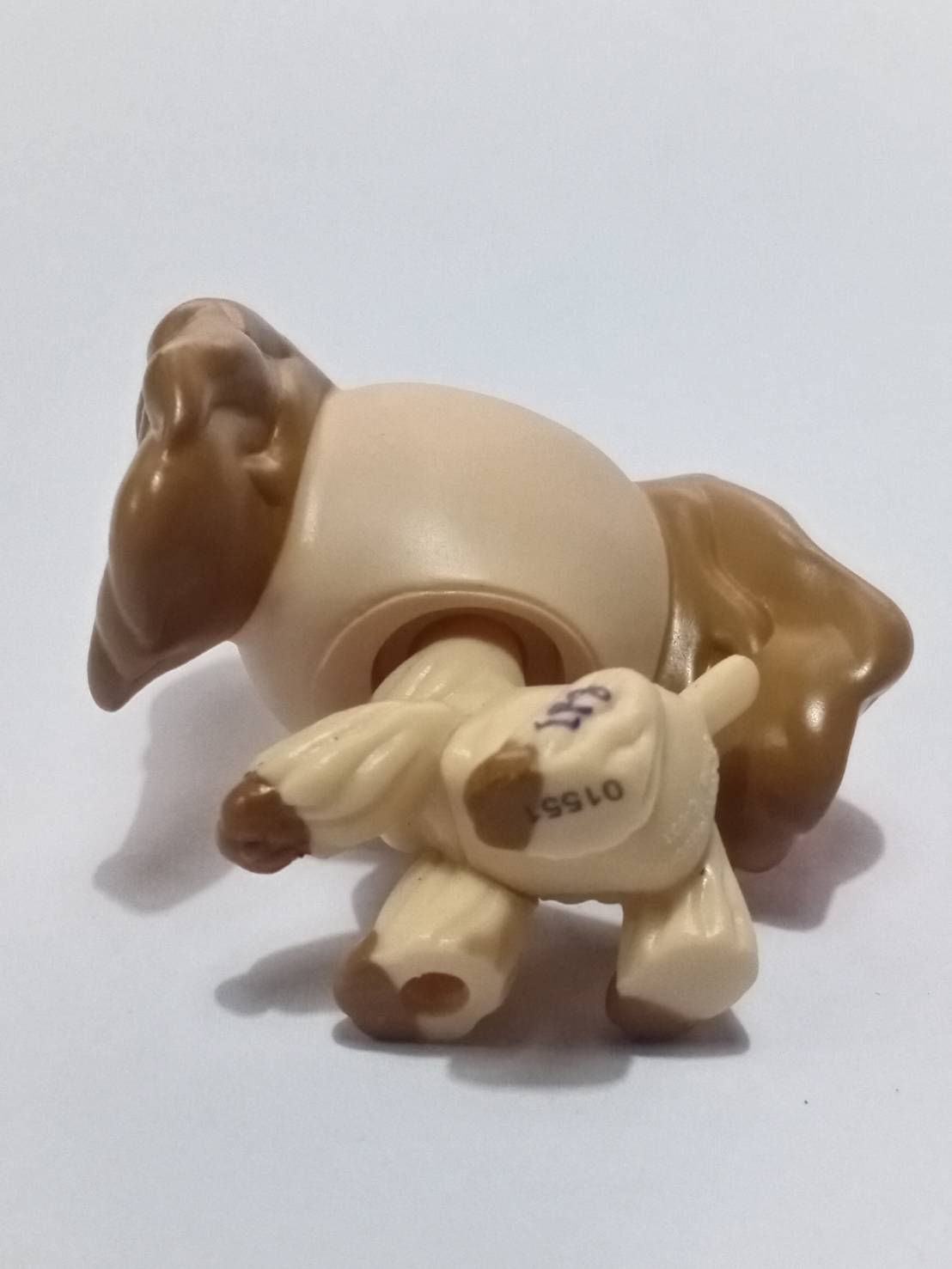 สุนัข Cocker Spaniel สีน้ำตาล ทูโทน ตาสีเขียว #1163