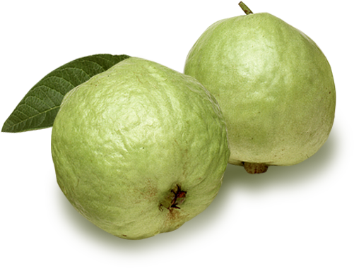 Dehydrated Guava (ฝรั่งอบแห้ง)