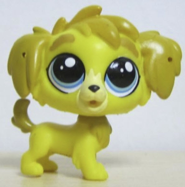สุนัขสีเหลือง Yellow Sheep dog