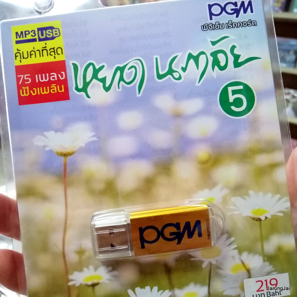 usb หยาด นภาลัย ชุด 5 หรีดรัก พี่รักเธอคนเดียว จะคอยขวัญใจ รักคุณเข้าแล้ว mp3 usb pgm