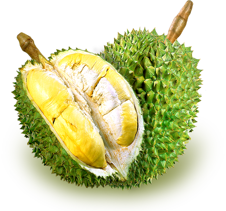 Dehydrated Durian (ทุเรียนอบนิ่ม)
