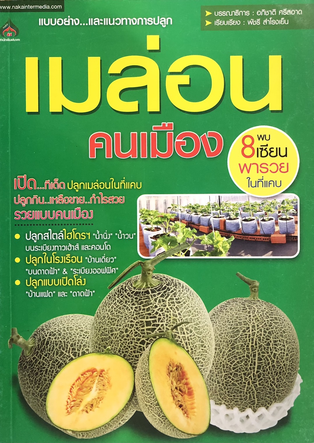 แบบอย่างและแนวทางการปลูก เมล่อน คนเมือง ปลูกกิน เหลือขาย กำไรสวย
