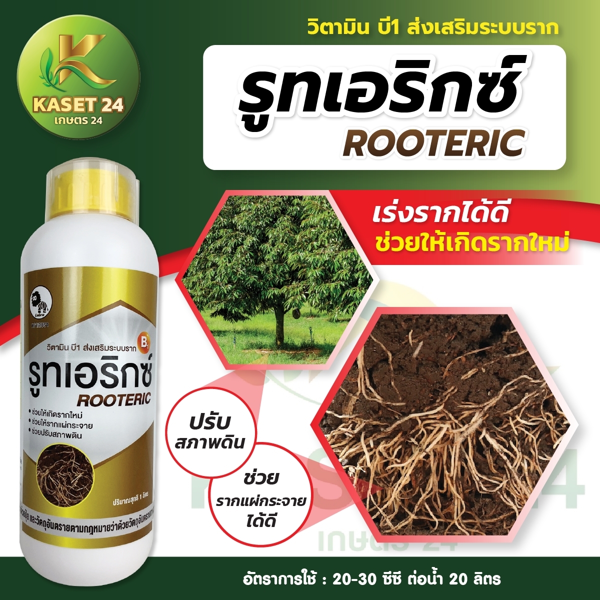 รูทเอริกซ์ เร่งราก ฟื้นฟูต้น ป้องกันรากเน่า โคนเน่า