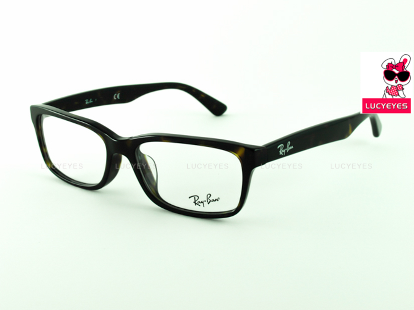 RayBan RX5296D 2012