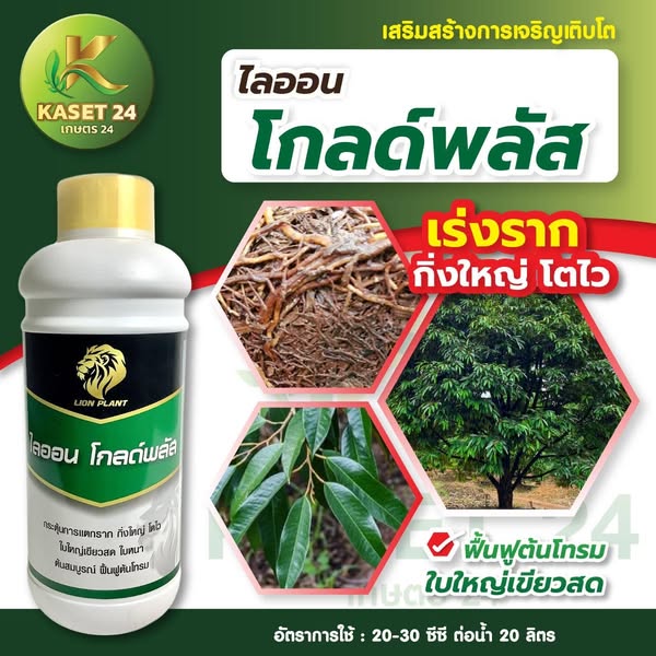 ไลออน โกลด์พลัส ฟื้นฟูต้น เร่งการออกดอก กระตุ้นการเปิดดอก เพิ่มการงอกของเมล็ด (ขนาด 1 ลิตร) ส่งฟรีเก็บเงินปลายทาง (ไม่บวกเพิ่ม)
