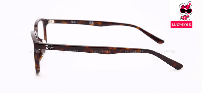 RayBan RX5327D 2012