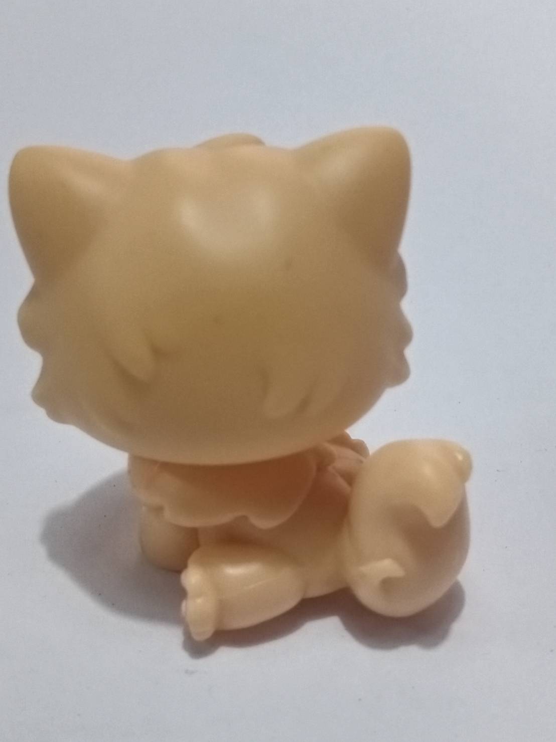 แมวเปอเซีย (Persian cat) สีส้ม แต่งตาวิงค์ (หายากมาก)