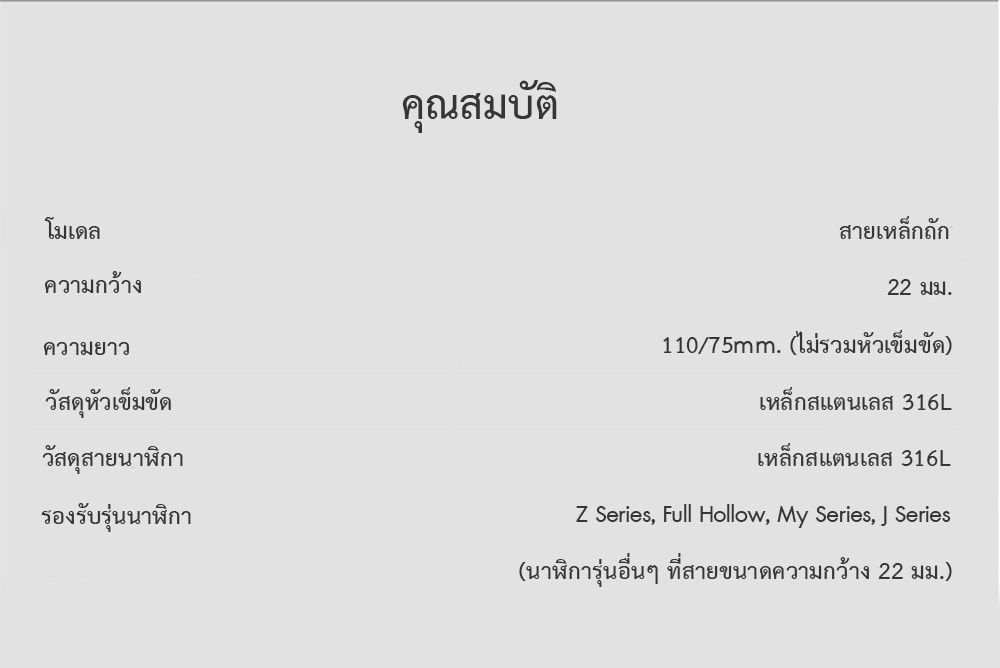 CIGA Design Milanese Mesh Watch Strap 22mm - สายนาฬิกาเหล็กถักซิก้า ดีไซน์ขนาด 22 มม.