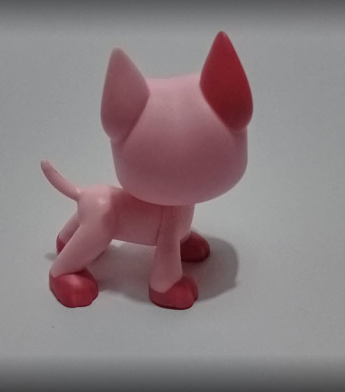 สุนัข เกรทเด้นท์ (Great Dane) สีชมพู ตาสีเขียว หู 2 สี แต้มแดงหน้าผาก