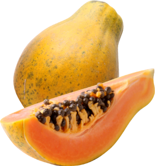Dehydrated Papaya (มะละกออบแห้ง)
