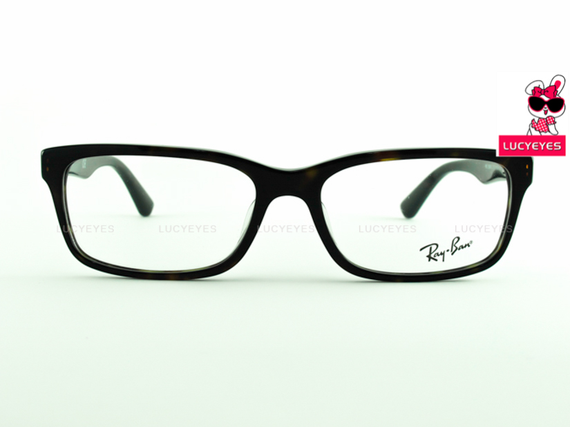 RayBan RX5296D 2012