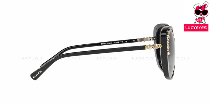 COACH HC8186BF 500211