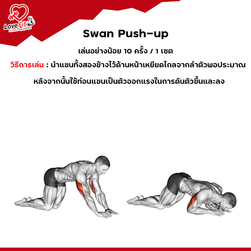 ดัมเบล , ออกกำลังกายไม่ใช่ดัมเบล , ออกกำลังกาย , กล้ามแขน