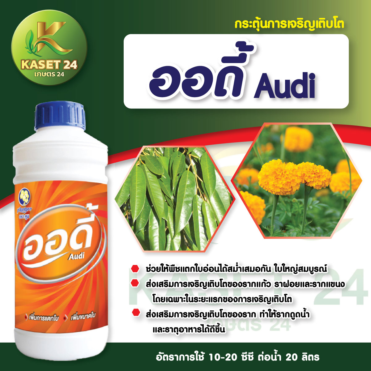 ปุ๋ยน้ำ ออดี้ สูตร 20-4-4 สูตรดึงใบอ่อน กระตุ้นการแตกยอด ฟื้นฟูต้นหลังเก็บเกี่ยว ใบใหญ่ใบหนา ใบเขียวมัน (ขนาด 1 ลิตร) ส่งฟรีเก็บเงินปลายทาง (ไม่บวกเพิ่ม)