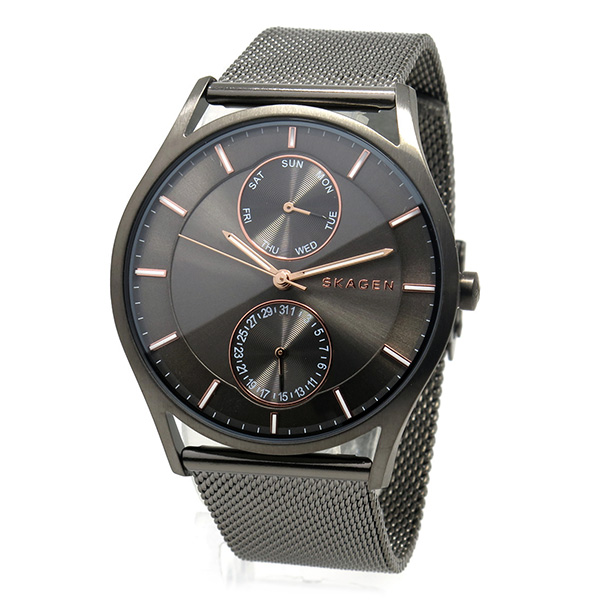 Skagen SKW6180 นาฬิกา Holst Multifunction Mesh Quartz Watch