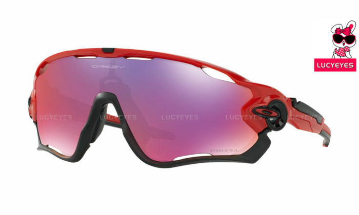OAKLEY OO9290-24 JAWBREAKER