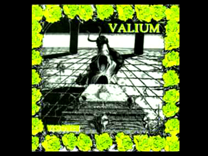 VALIUM'Visioner'
