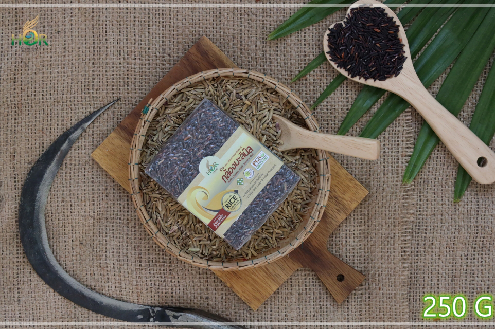 ข้าวมะลินิลปลอดสาร 250 g ข้าวหอมมะลินิลปลอดสาร 250 g ข้าวมะลินิลสุขภาพ 250 g ข้าวหอมมะลินิลสุขภาพ 250 g g Surin Organic Black Jasmine Rice (Mini Size 250 g) 250 กรัม