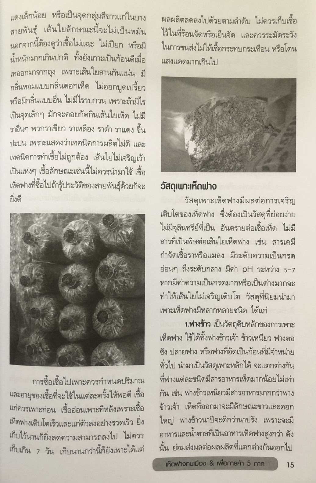 แบบอย่างและแนวทางการเพาะปลูก เห็ดฟางคนเมือง & เพื่อการค้า 5 ภาค