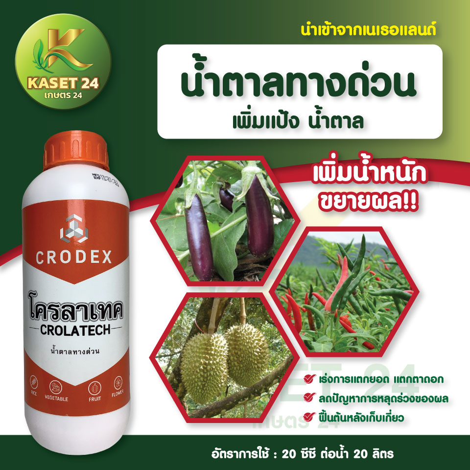 น้ำตาลทางด่วน โครลาเทค โมเลกุลเดี่ยวจากเนเธอแลนด์ พืชเป็นโรคใช้ได้ แตกตาใบ ตาดอก (ขนาด 1 ลิตร) ส่งฟรีเก็บเงินปลายทาง (ไม่บวกเพิ่ม)