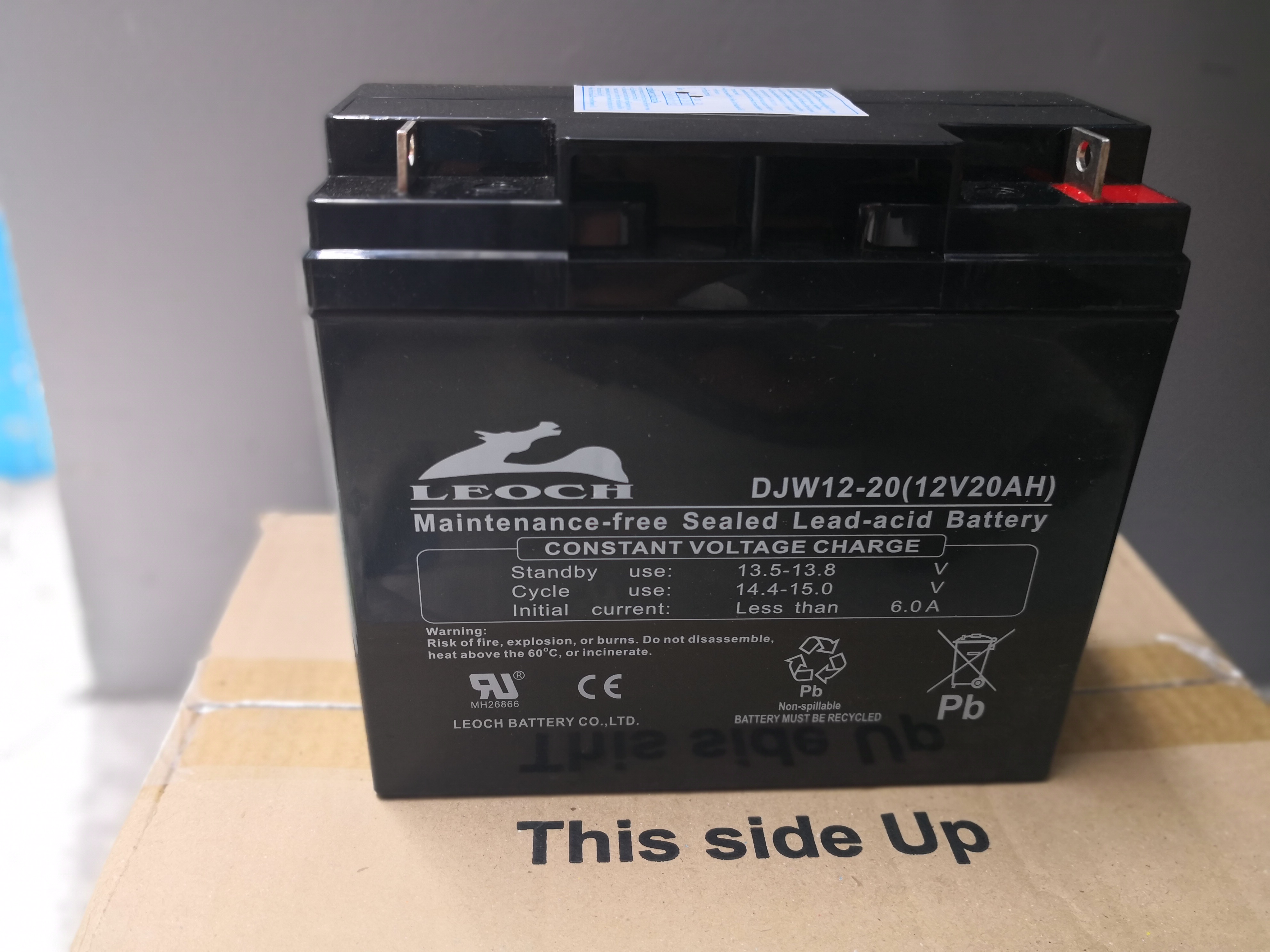 12V 20AH LEOCH