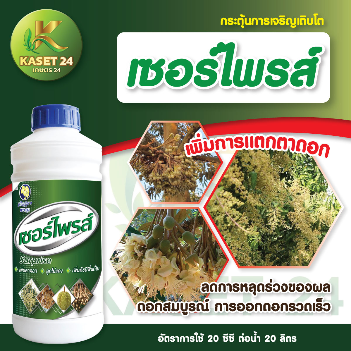 เซอร์ไพรส์ สาหร่ายทะเลเข้มข้น สูตรน้ำเขียว ช่วยดึงดอกยืดข้อ เร่งการแตกใบอ่อน (ขนาด 1 ลิตร) ส่งฟรีเก็บเงินปลายทาง (ไม่บวกเพิ่ม)