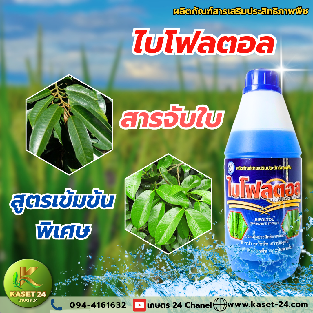 ไบโฟตอล สารจับใบ ราคาไม่แรง