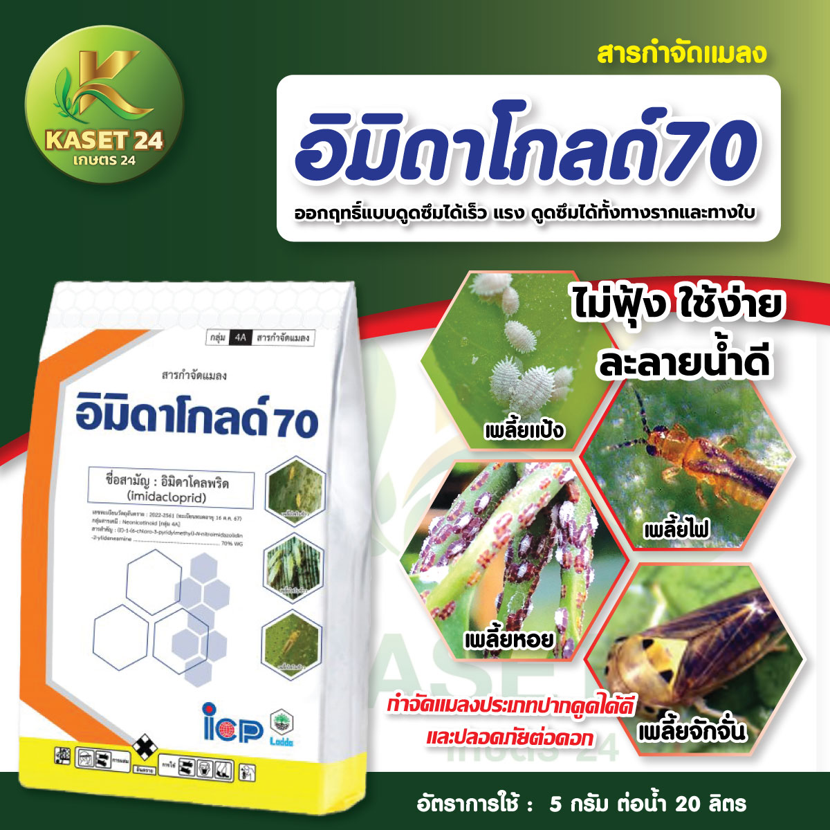 ยากำจัดแมลง อิมิดาโกลด์ 70 (อิมิดาโคลพริด 70% WG) กำจัดเพลี้ย เพลี้ยไฟ เพลี้ยไก่แจ้ เพลี้ยจั๊กจั่น เพลี้ยหอยนาสาร ยาดูดซึม (ขนาด 500 กรัม) ส่งฟรีเก็บเงินปลายทาง (ไม่บวกเพิ่ม)