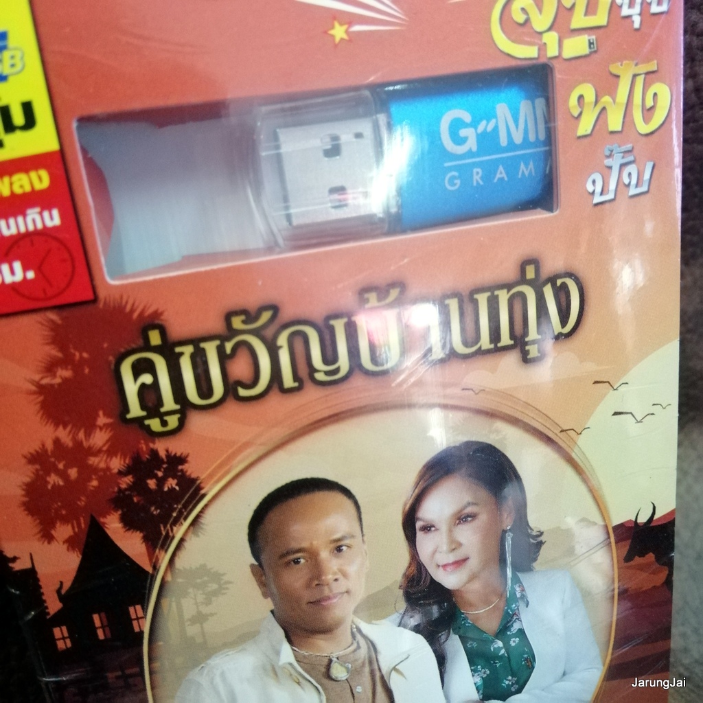 usb คู่ขวัญบ้านทุ่ง usb ไมค์ ภิรมย์พร ศิริพร อำไพพงษ์ กลับคำสาหล่า ผู้หญิงหลายมือ mp3 usb gmm บุญผลา