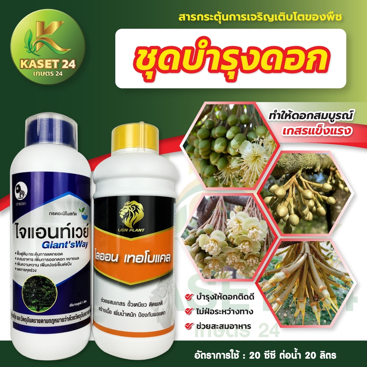 ชุดบำรุงดอก ดอกสมบูรณ์ เพิ่มการผสมเกสร ขั้วดอกเหนียว ลดการหลุดร่วง