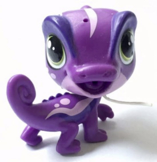 Rainbow Maguire Chameleon สีม่วง ตาสีเขียว