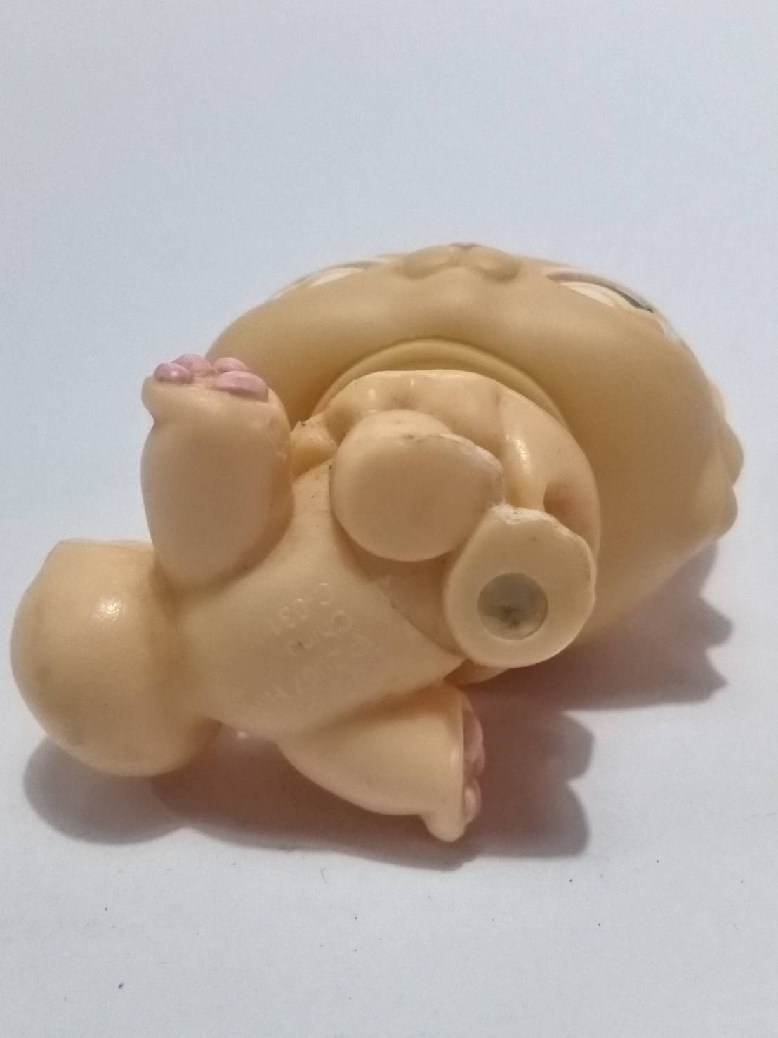 แมวเปอเซีย (Persian cat) สีส้ม แต่งตาวิงค์ (หายากมาก)