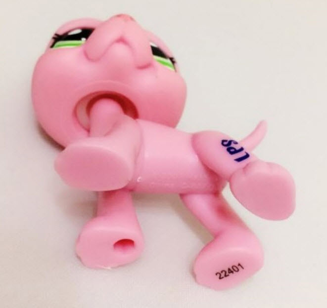 สุนัขเกรทเด้นท์ (Great Dane) สีชมพู ตาสีเขียว (ขายดี)