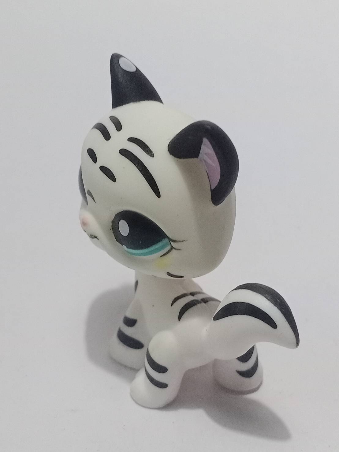 แมวเมนคูน (Maine Coon) สีขาวลายทางดำ ตาสีเขียว #1498