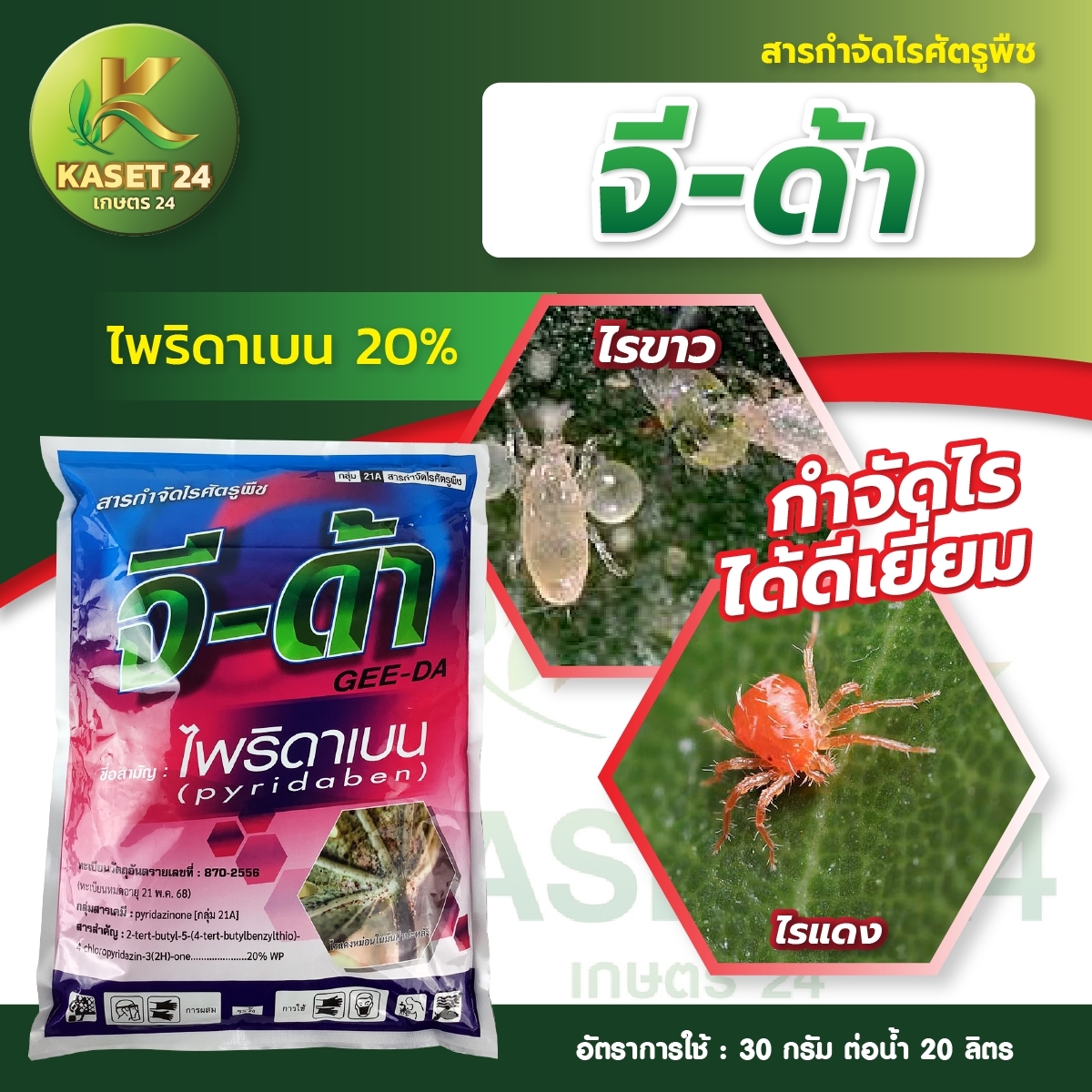 จีด้า ( ไพริดาเบน ) สารกำจัดไรขาว และไรแดง ถูกตัวตายและกินตาย 1 กิโลกรัม