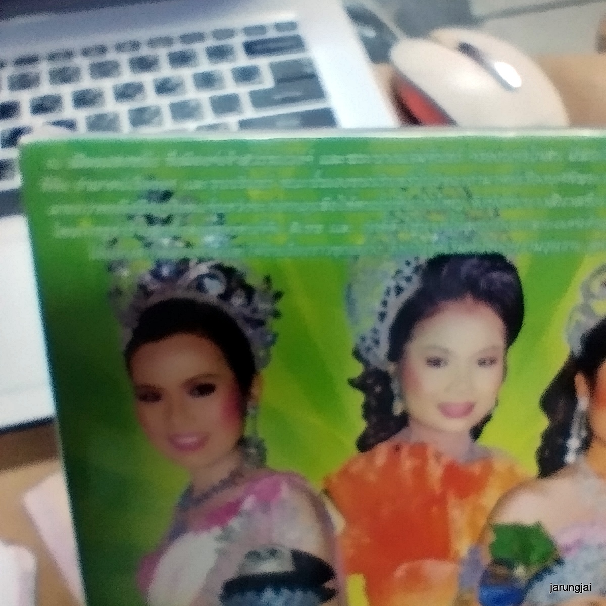 vcd หนูภารวิเศษศิลป์ เลือดสองสีธรณีพิโรธ concer vcd evs หมอลำเรื่องต่อกลอน