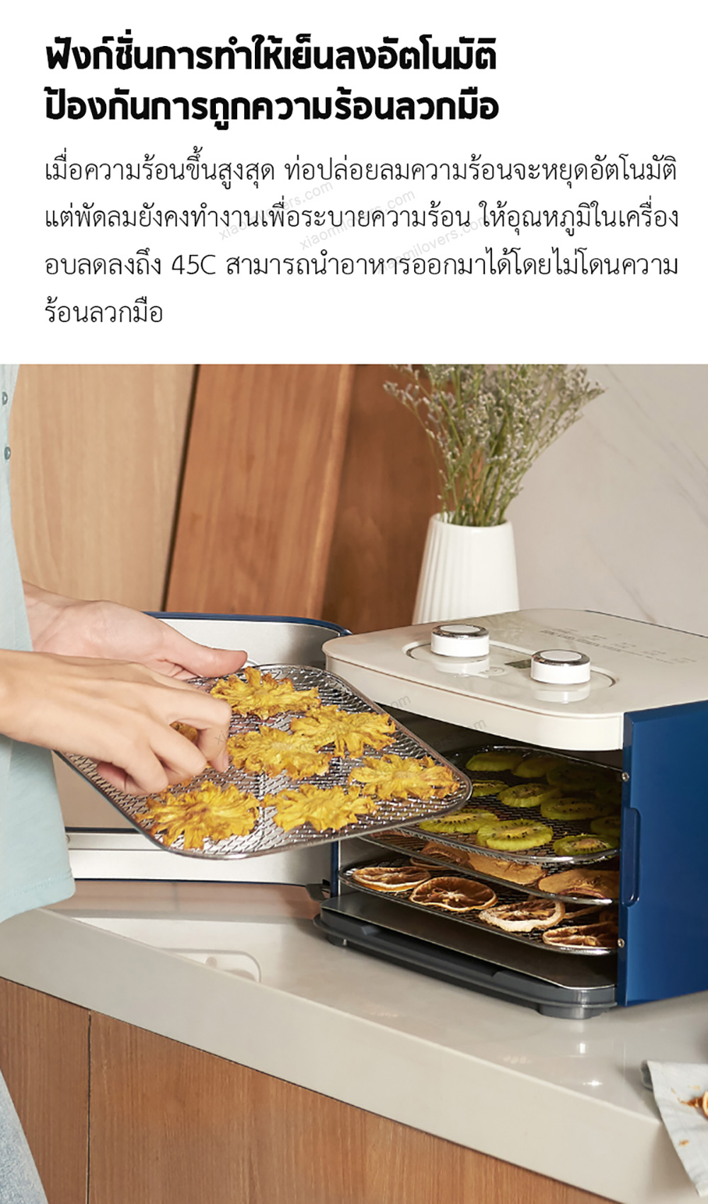 Xiaomi Morphy Richards Dried Fruit Machine - เครื่องอบแห้งผลไม้ (แถมหัวแปลง)