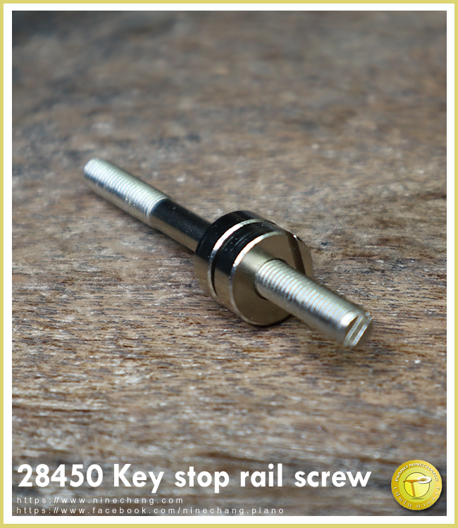 28450 Key stop rail screw