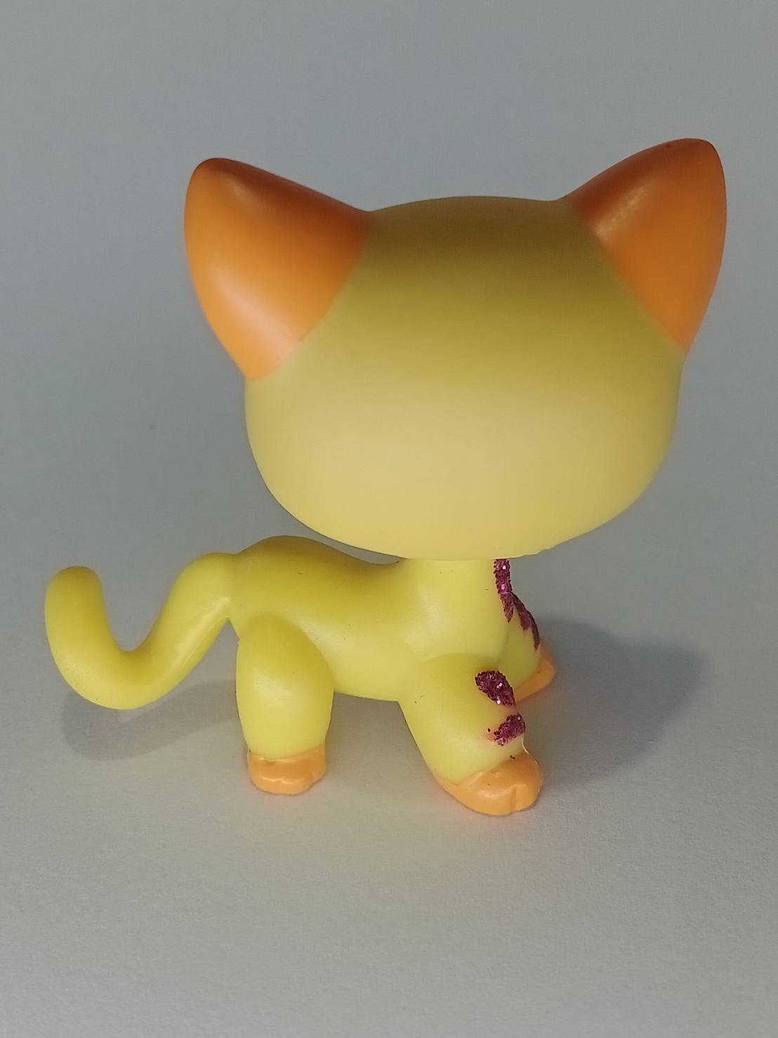 แมว Short Hair สีส้ม ตาสีฟ้า แต่งวิ้งค์