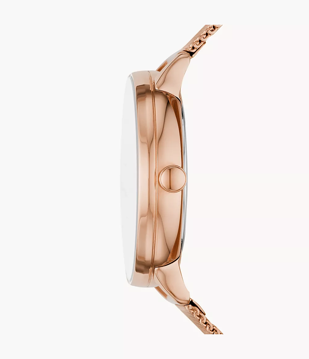 Skagen SKW2918 นาฬิกาผู้หญิง Riis Rose gold Women's Watch