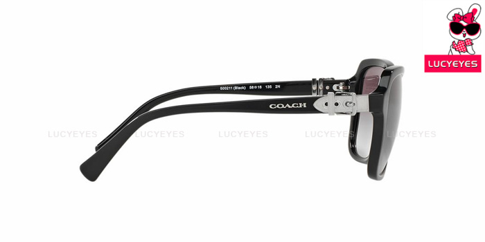 COACH HC8179F 500211