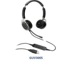 GUV3005