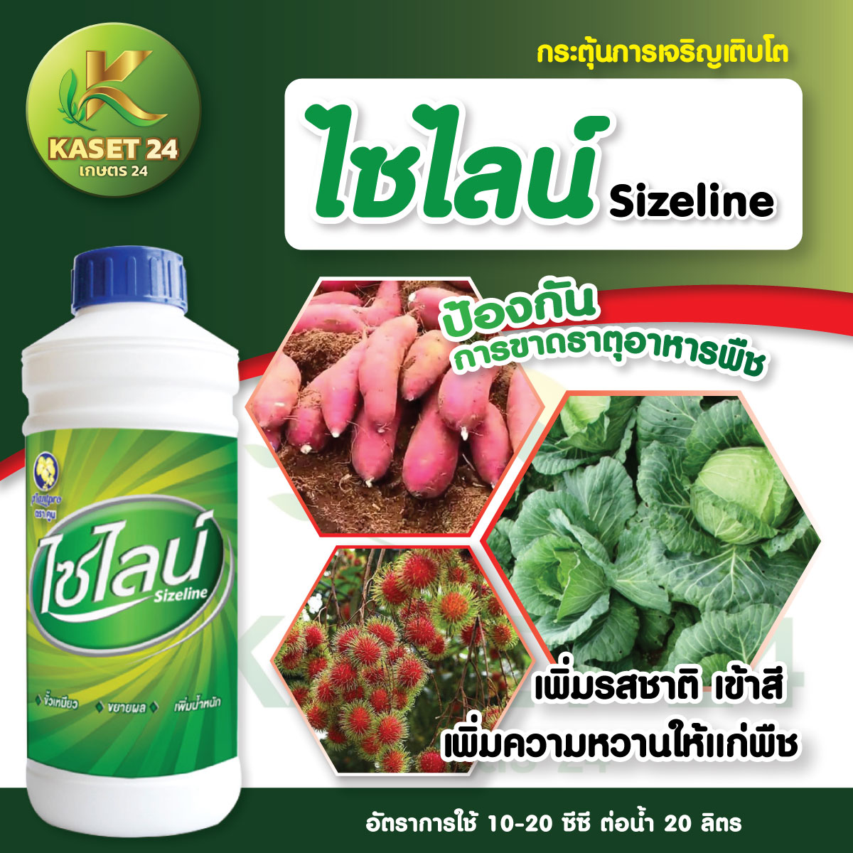 ปุ๋ยน้ำ ไซไลน์ สูตร 0-17-5 ปุ๋ยหยุดยอด ยับยั้งการแตกใบอ่อน เร่งใบแก่ ลดไนโตรเจน ขึ้นลูก ลดการหลุดร่วง (ขนาด 1 ลิตร) ส่งฟรีเก็บเงินปลายทาง (ไม่บวกเพิ่ม)
