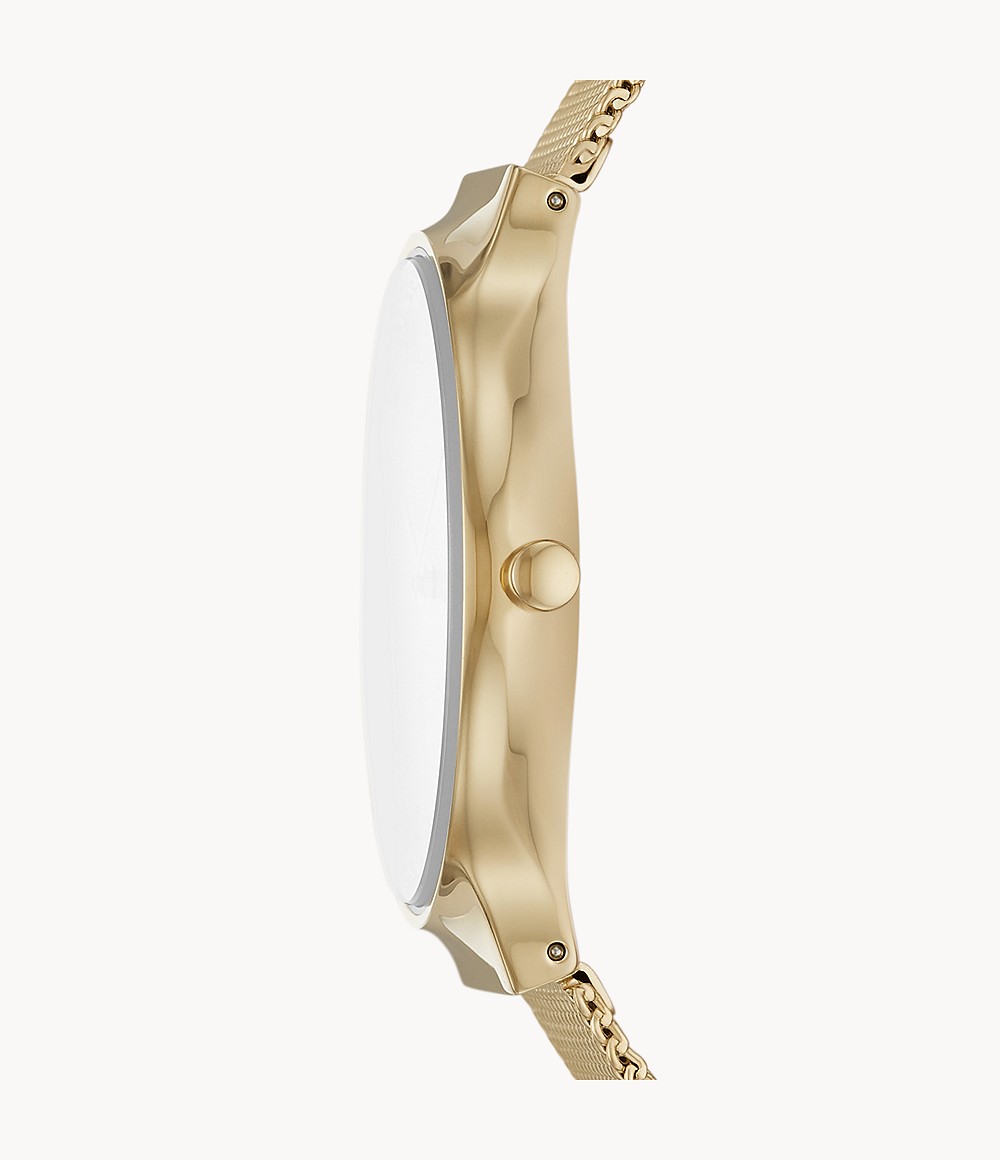 Skagen SKW1148 นาฬิกาผู้หญิง Skagen รุ่น SKW2837, Freja Two-Hand Gold-Tone + Box Set Quartz Women's Watch
