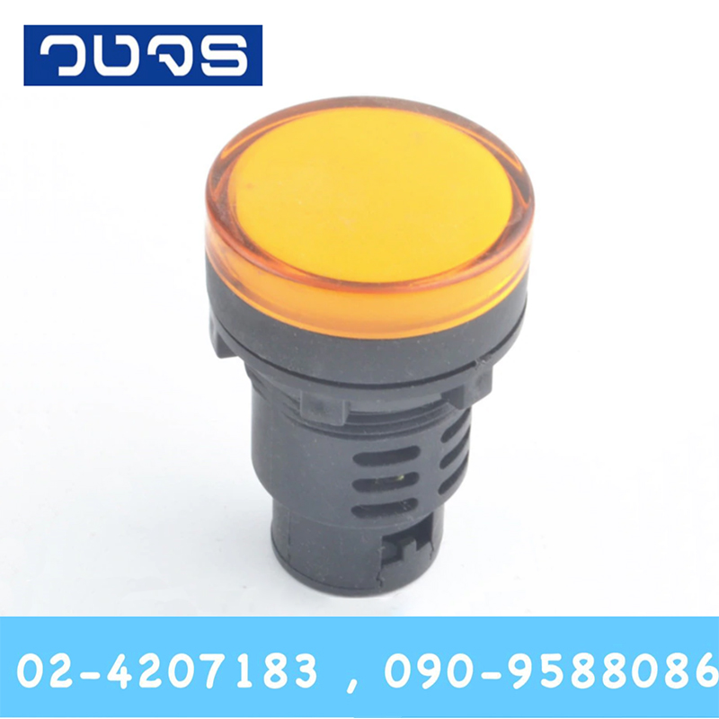 Pilot Lamp 30mm 220VAC